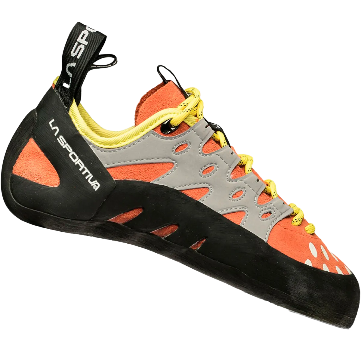 Women's Tarantulace